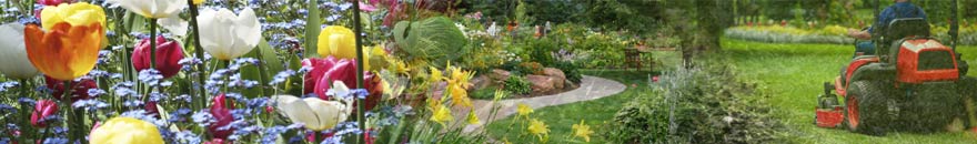 Boston Landscaping, Boston Landscaper